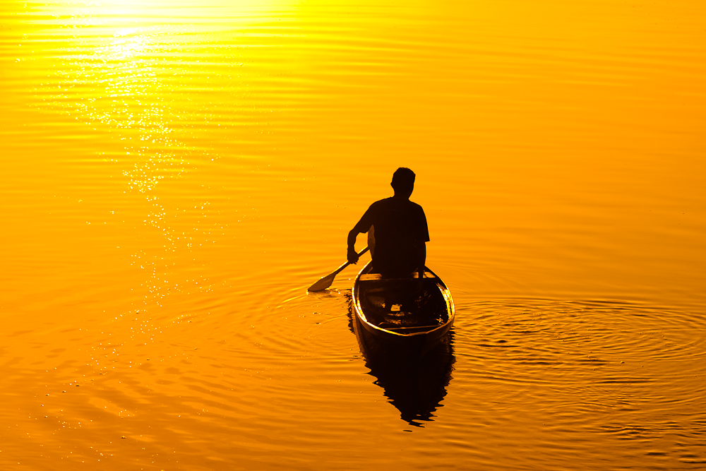 Into the sun - Amazon dawn canoeing von CD-LUX 