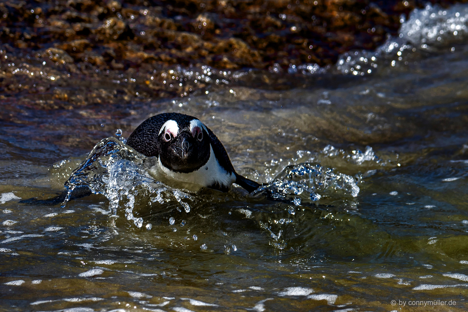 Into the Water