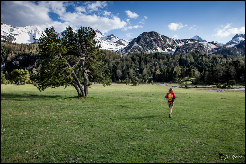 Into the wild