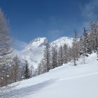 Into the wild...dal rifugio Crosta