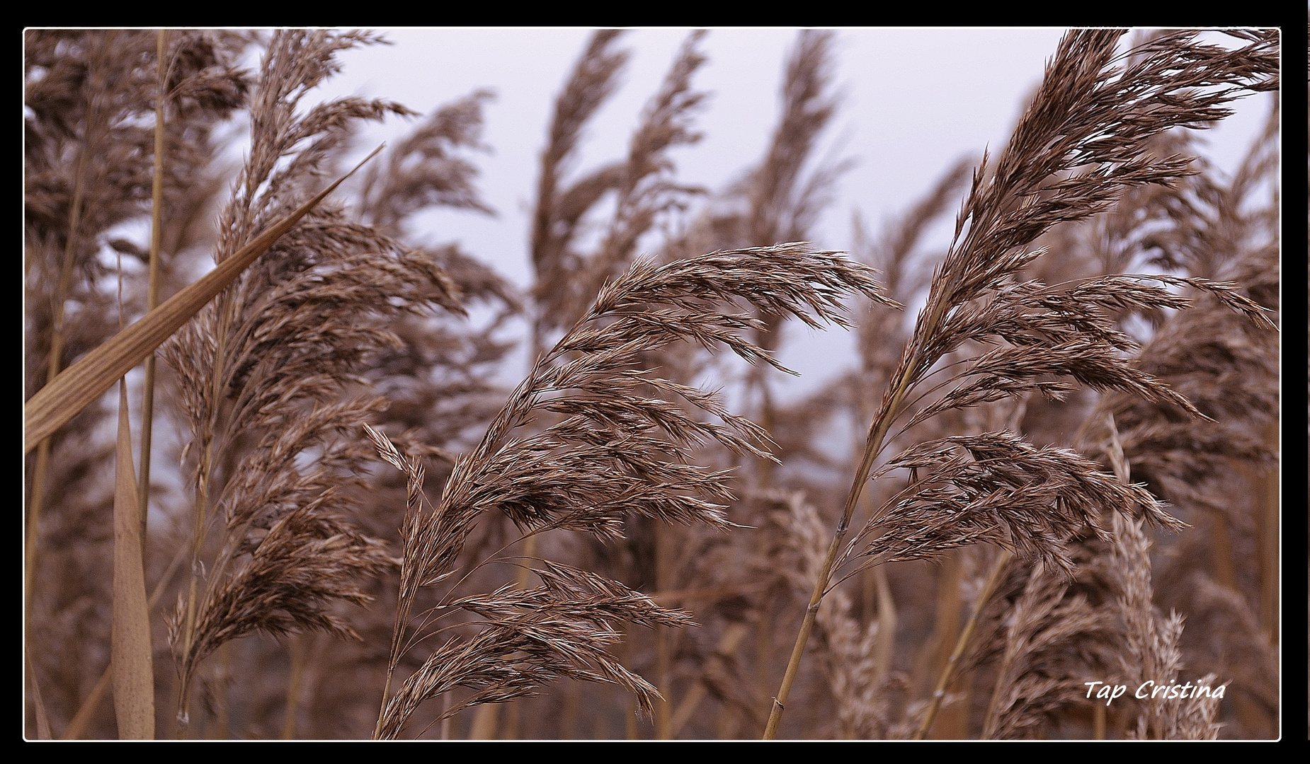 ... into the wind...