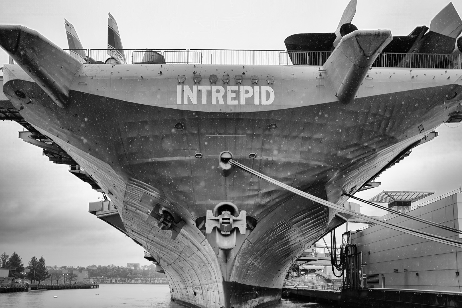 Intrepid