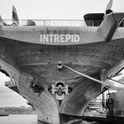 Intrepid