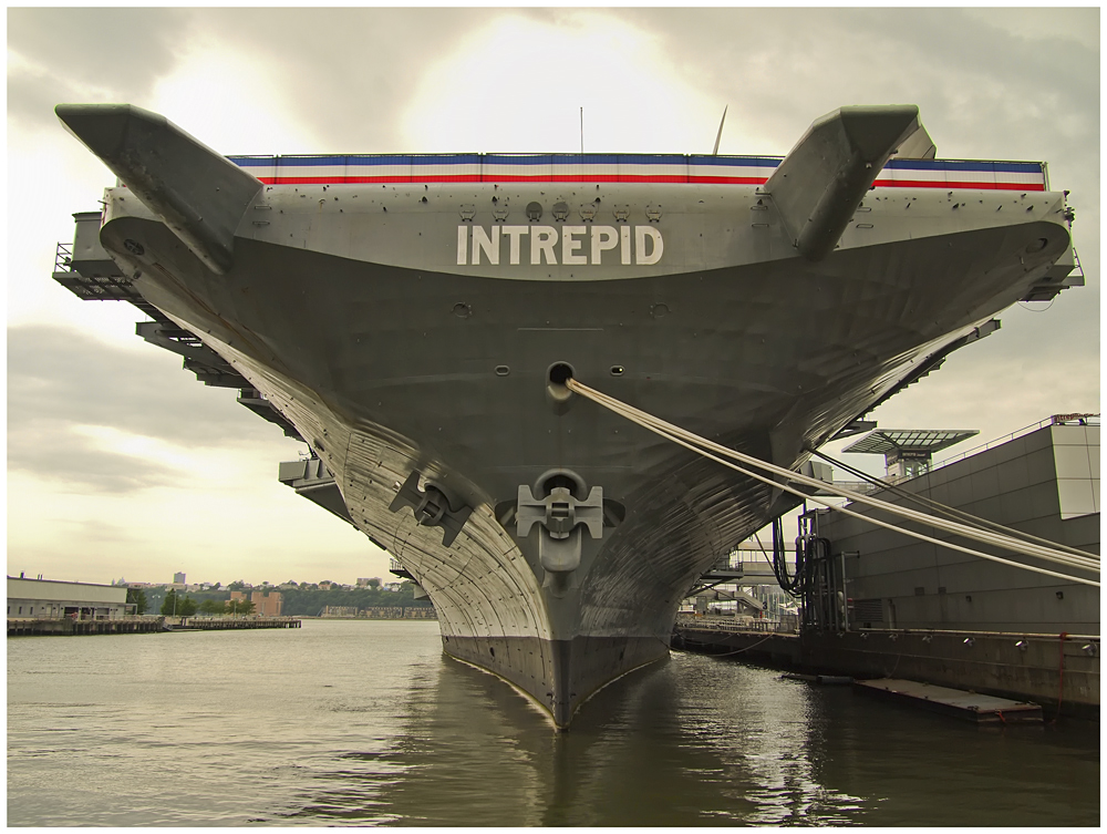 Intrepid_1