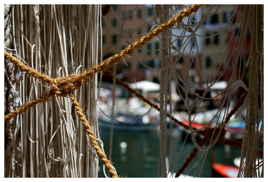 Intuendo Camogli