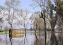 Inundación de Roberto Justo Robiolo 