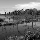 inundacion en las viñas