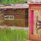 Inundaciones 3