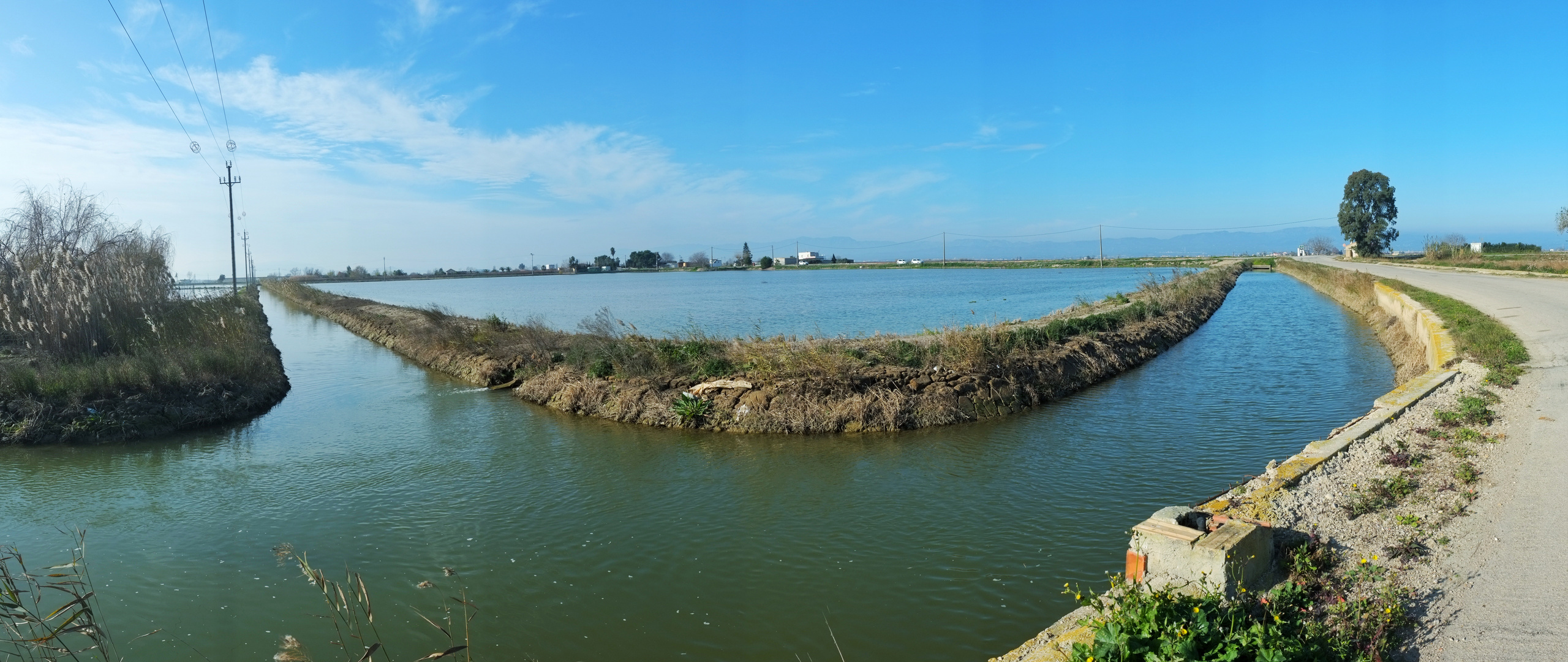 Inundando el Delta