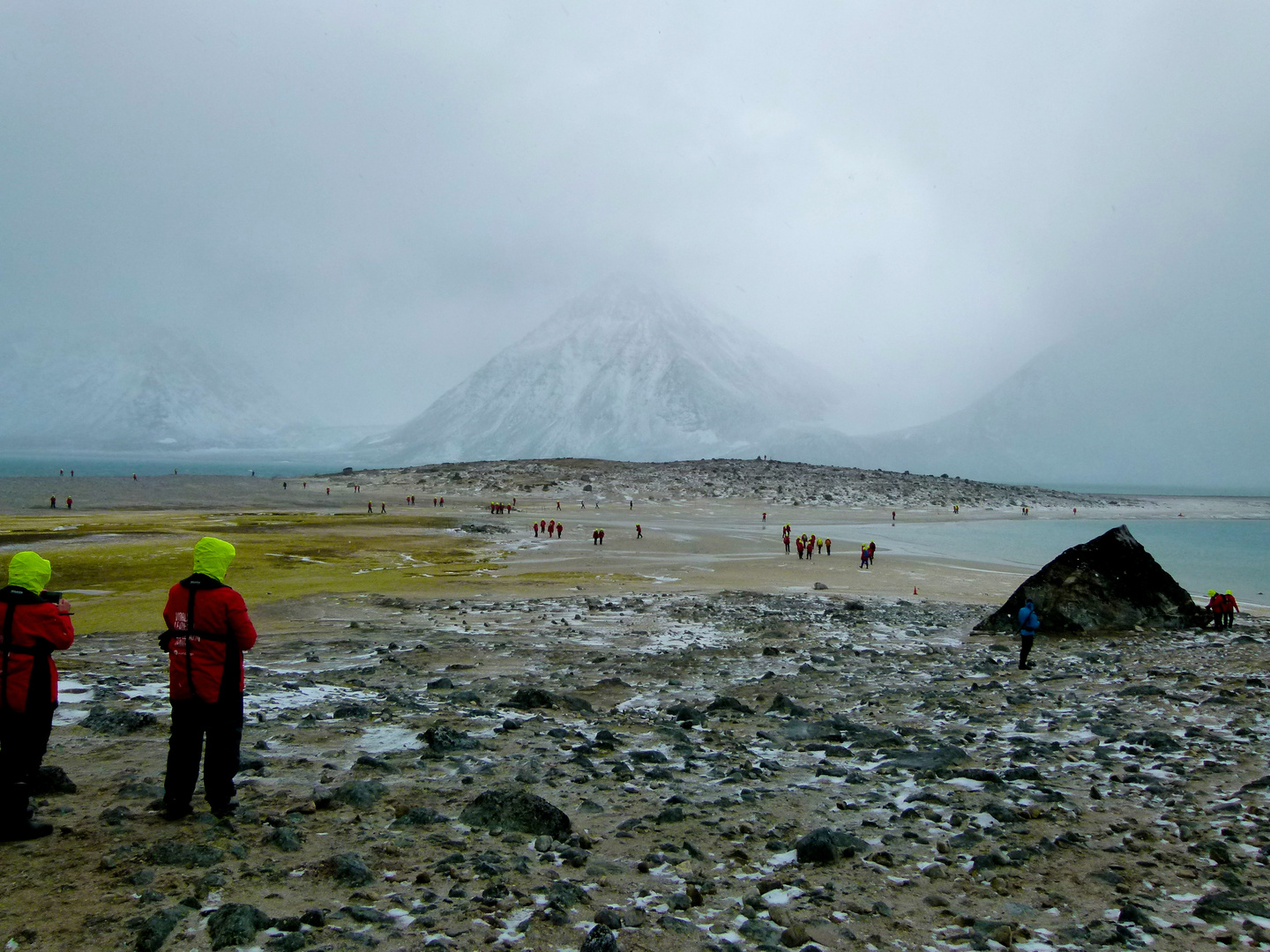 Invasion, Arktis, Magdalenafjorden, Spitzbergen 79°34' Nord