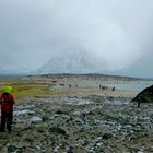 Invasion, Arktis, Magdalenafjorden, Spitzbergen 79°34' Nord