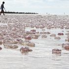 Invasion auf Sylt I