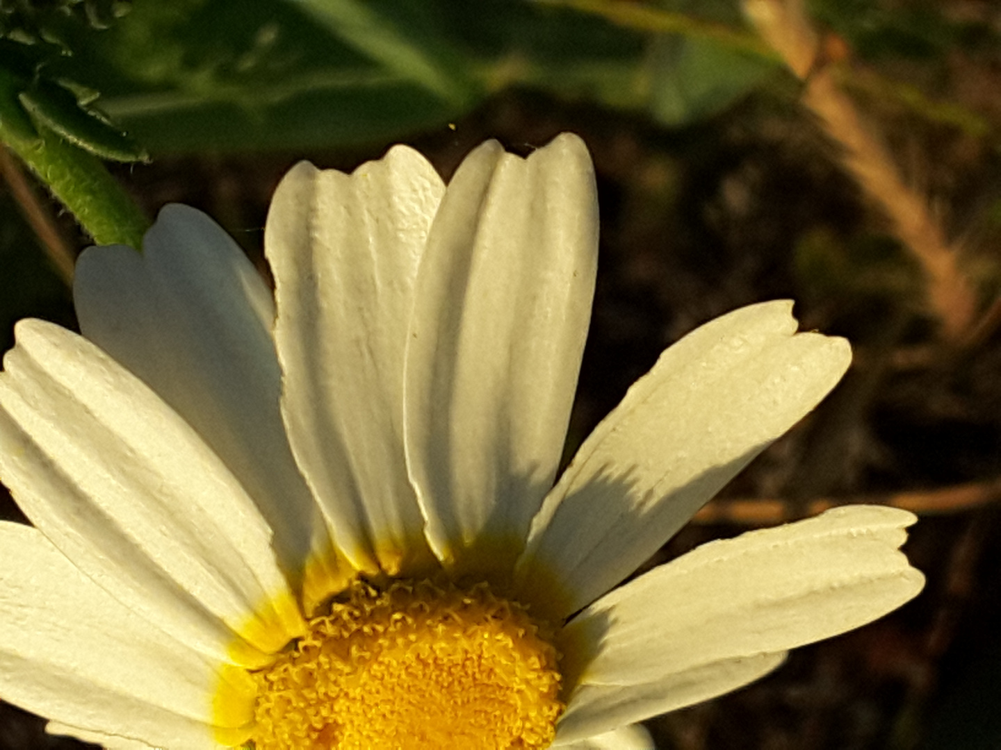 Invecchiata, ma sono tornata! 