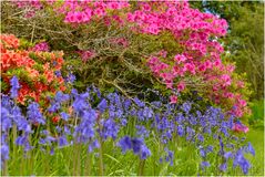 Inverary Castle Gardens