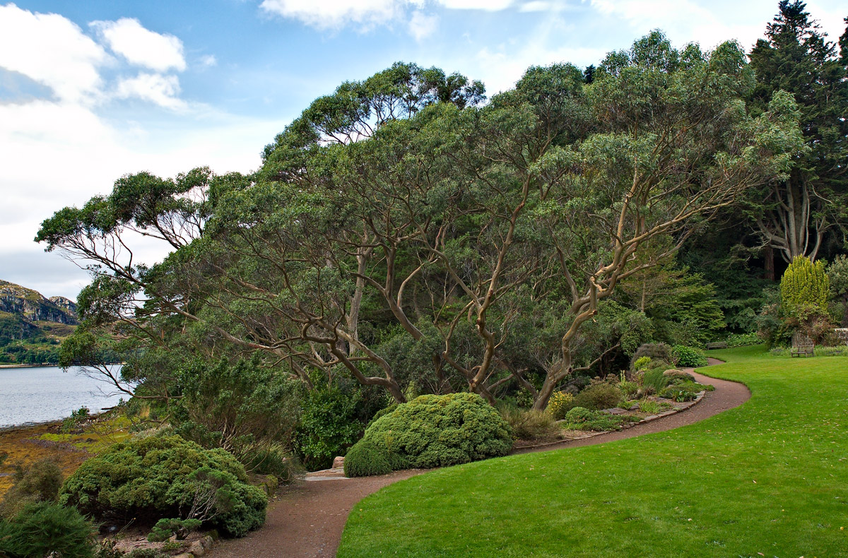 Inverewe Garden