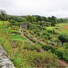 Inverewe Walled Garden