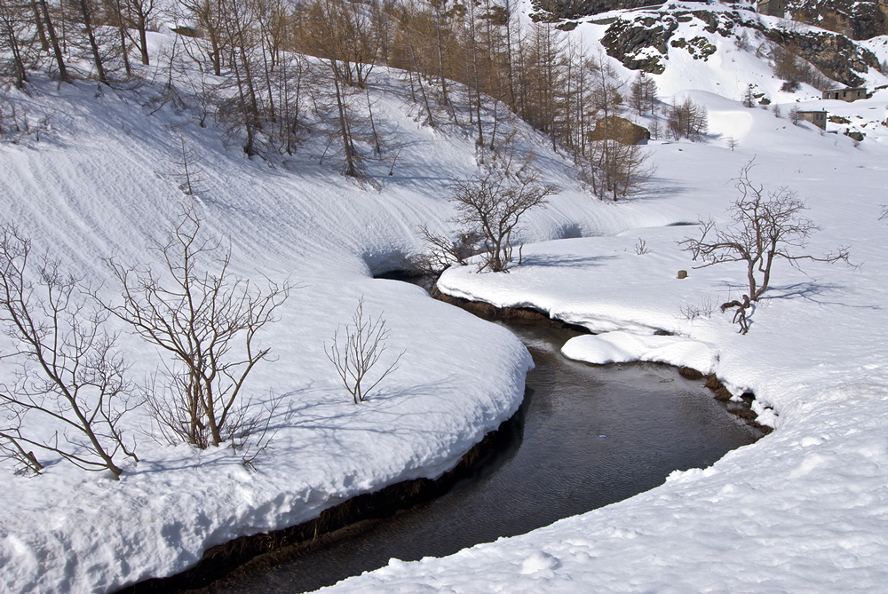 Inverno