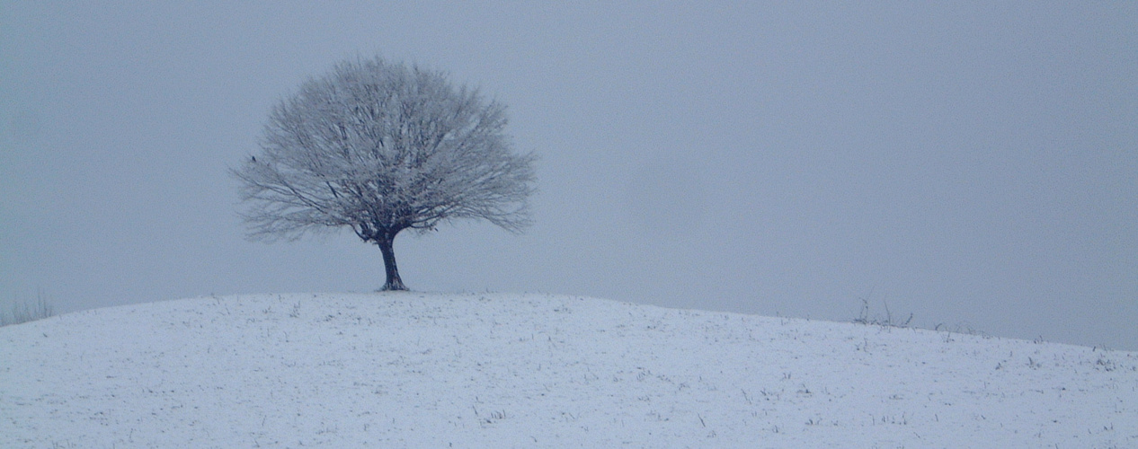 inverno