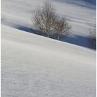 Inverno al Monte del Falò (VB)