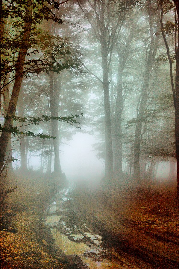 Inverno in Aspromonte