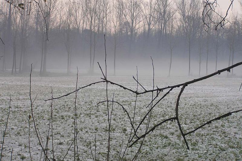 Inverno in brughiera