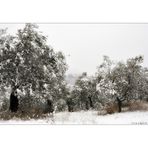 Inverno in Umbria II