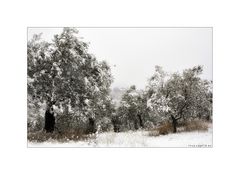 Inverno in Umbria II