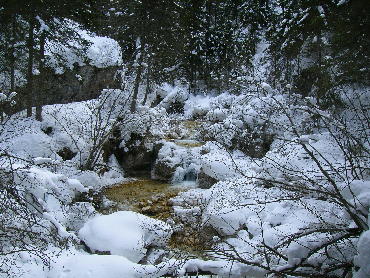 Inverno in Val Ciamin