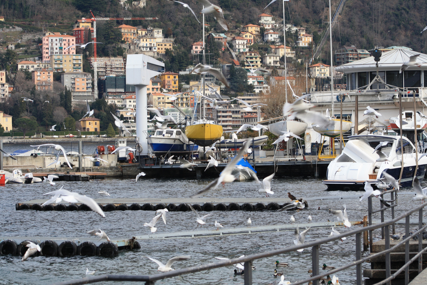 inverno in volo