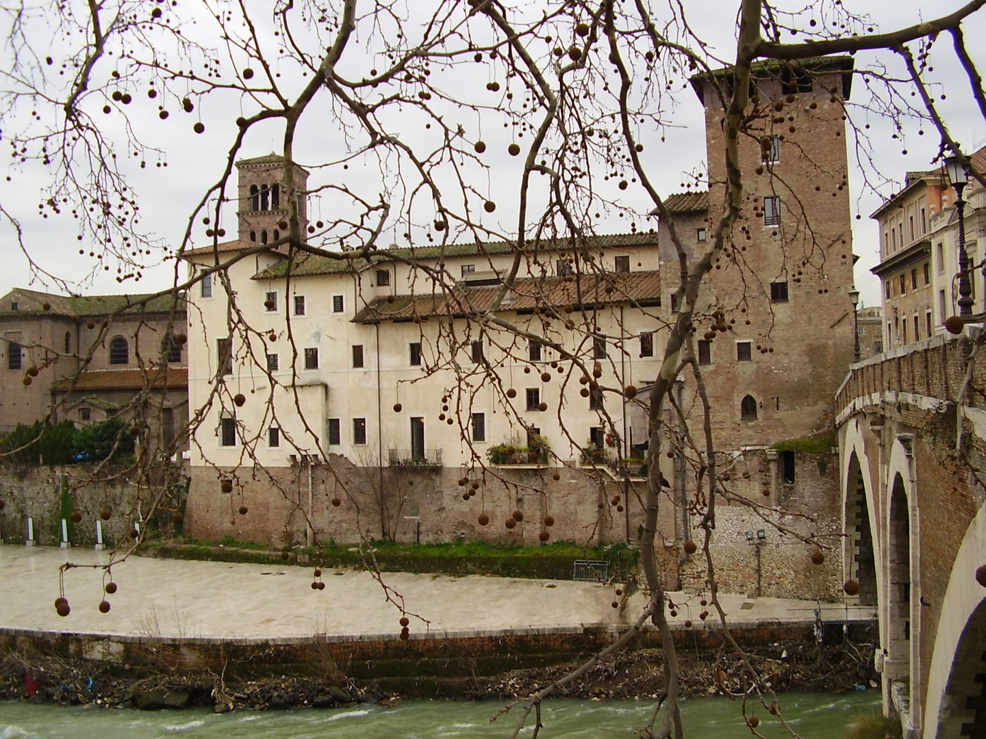 Inverno - Isola Tiberina_Roma