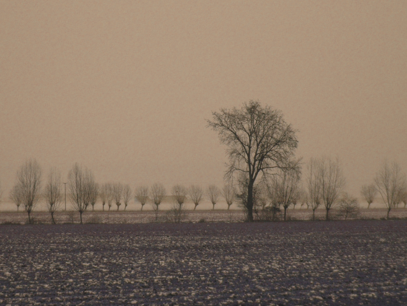 Inverno - La natura riposa