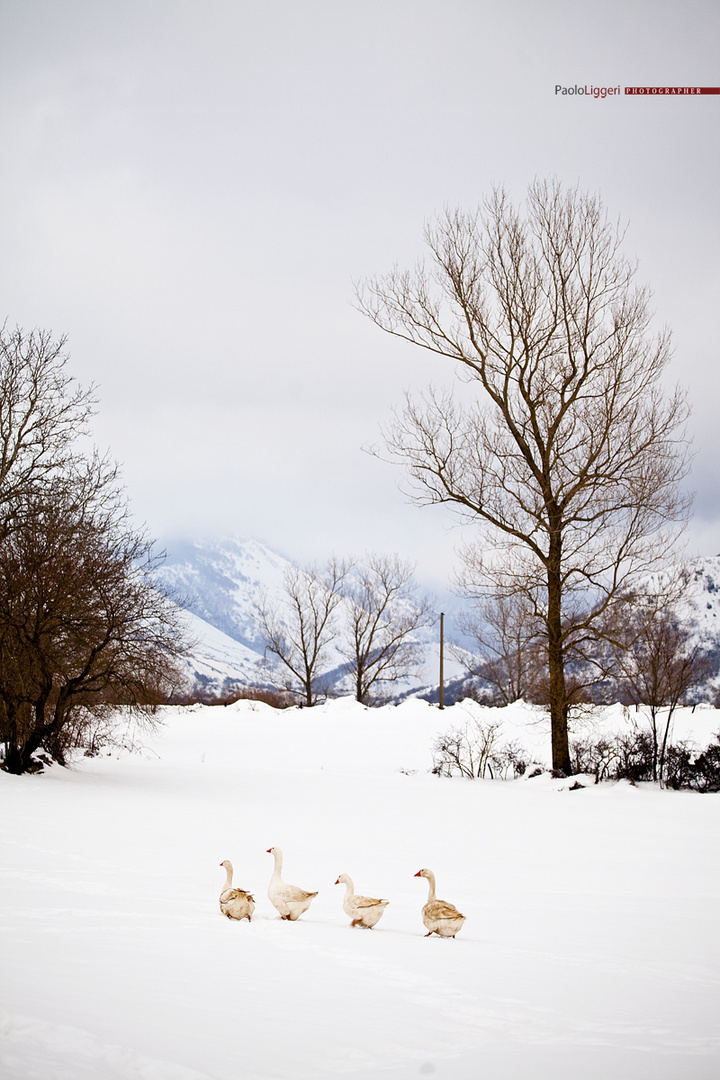 inverno matesino