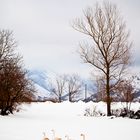 inverno matesino