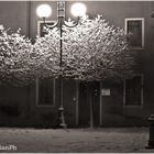 Inverno - notturno cittadino