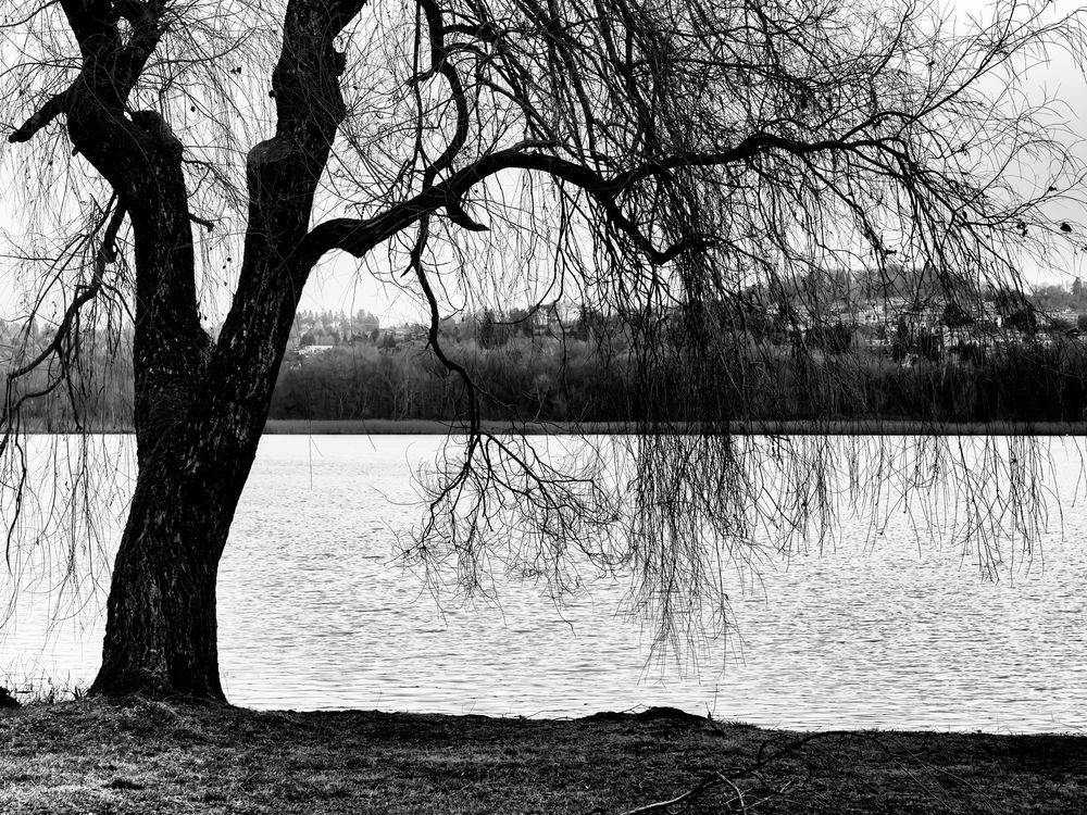 Inverno sul lago