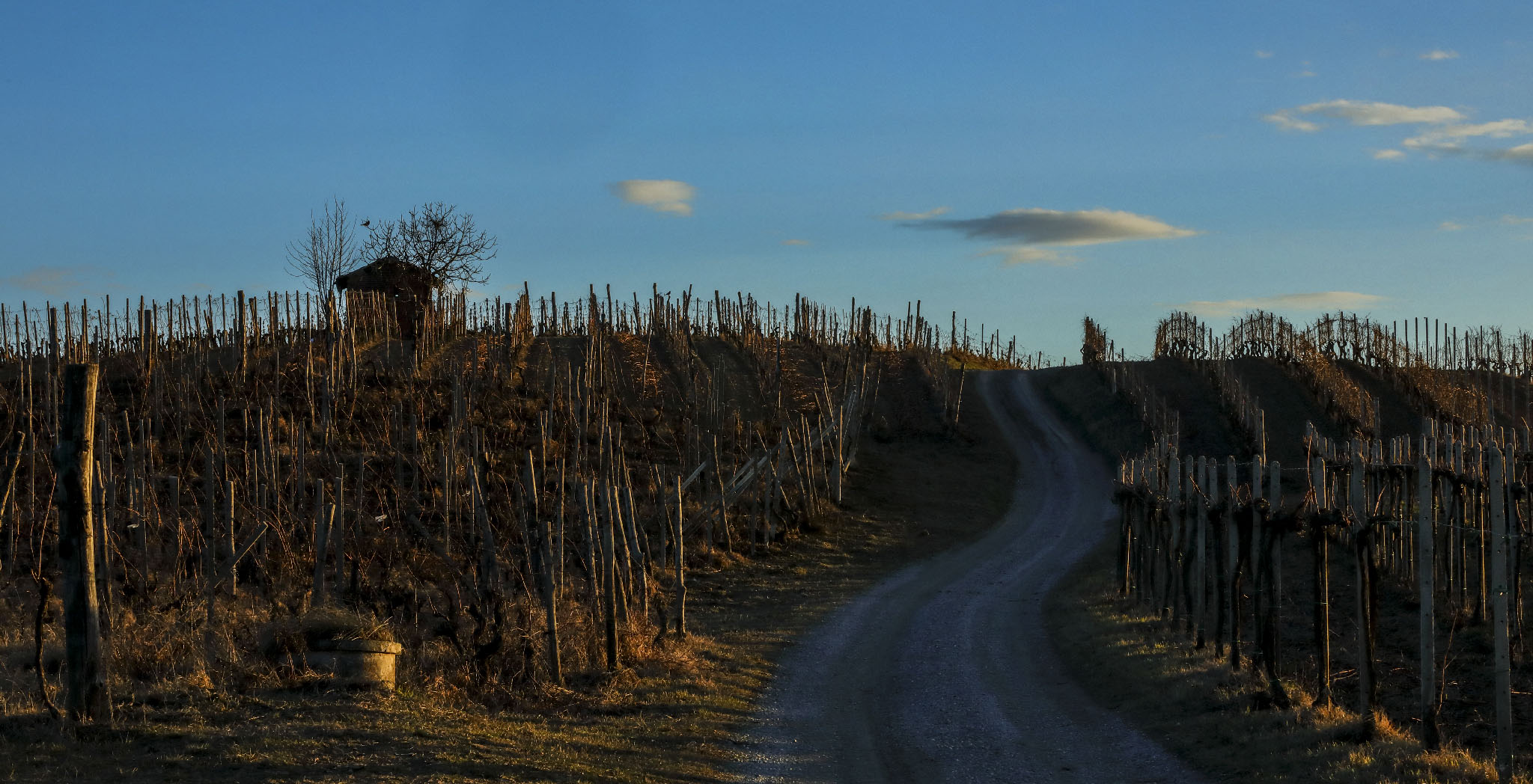 inverno tra i pali