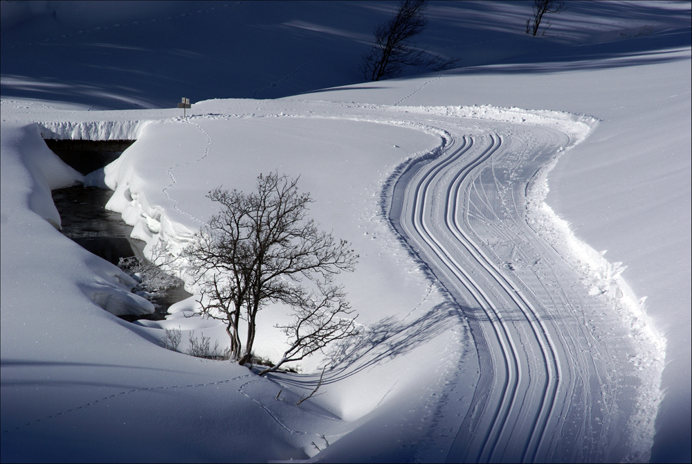 invernopaesaggio