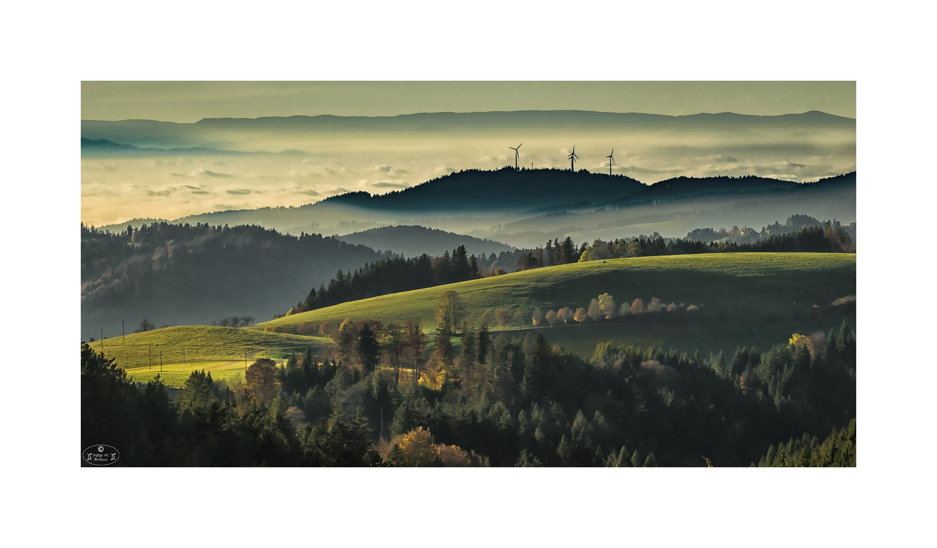 Inversion Foto & Bild landschaft, wald, natur Bilder auf