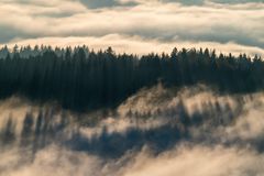 Inversion im Nordschwarzwald