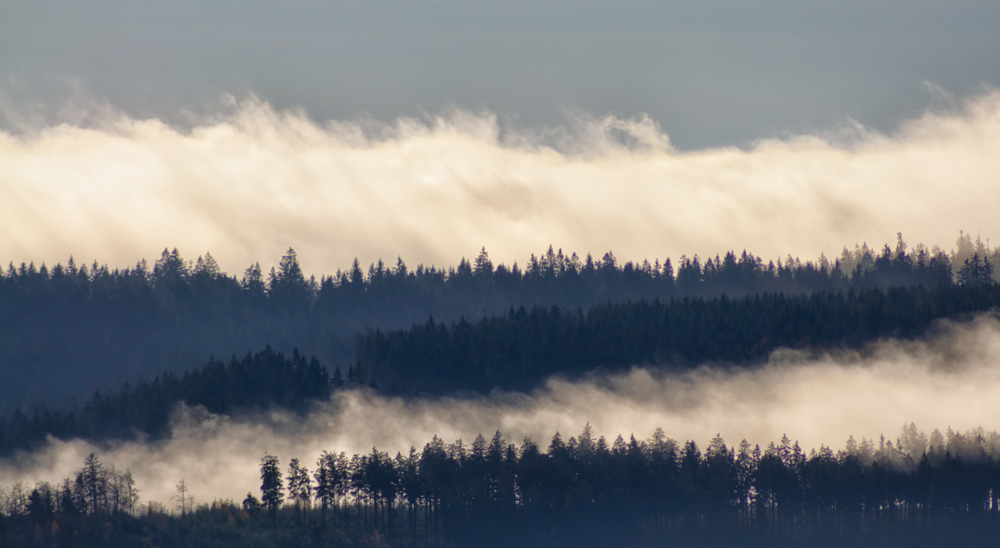 Inversion im Schwarzwald