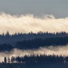 Inversion im Schwarzwald