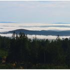 Inversionsnebel im Fichtelgebirge