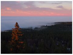 Inversionsnebel im Fichtelgebirge