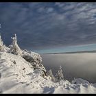 Inversionswetter am Kaitersberg(BayWald)