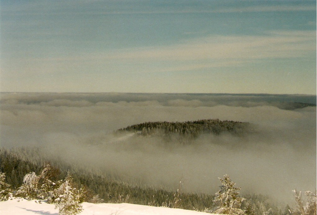 inversionswetterlage auf der hornisgrinde