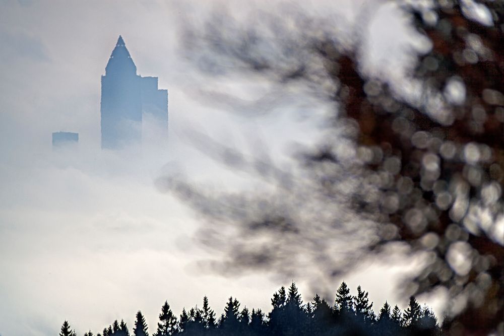 Inversionswetterlage: FELDBERGBLICK durch's Spektiv