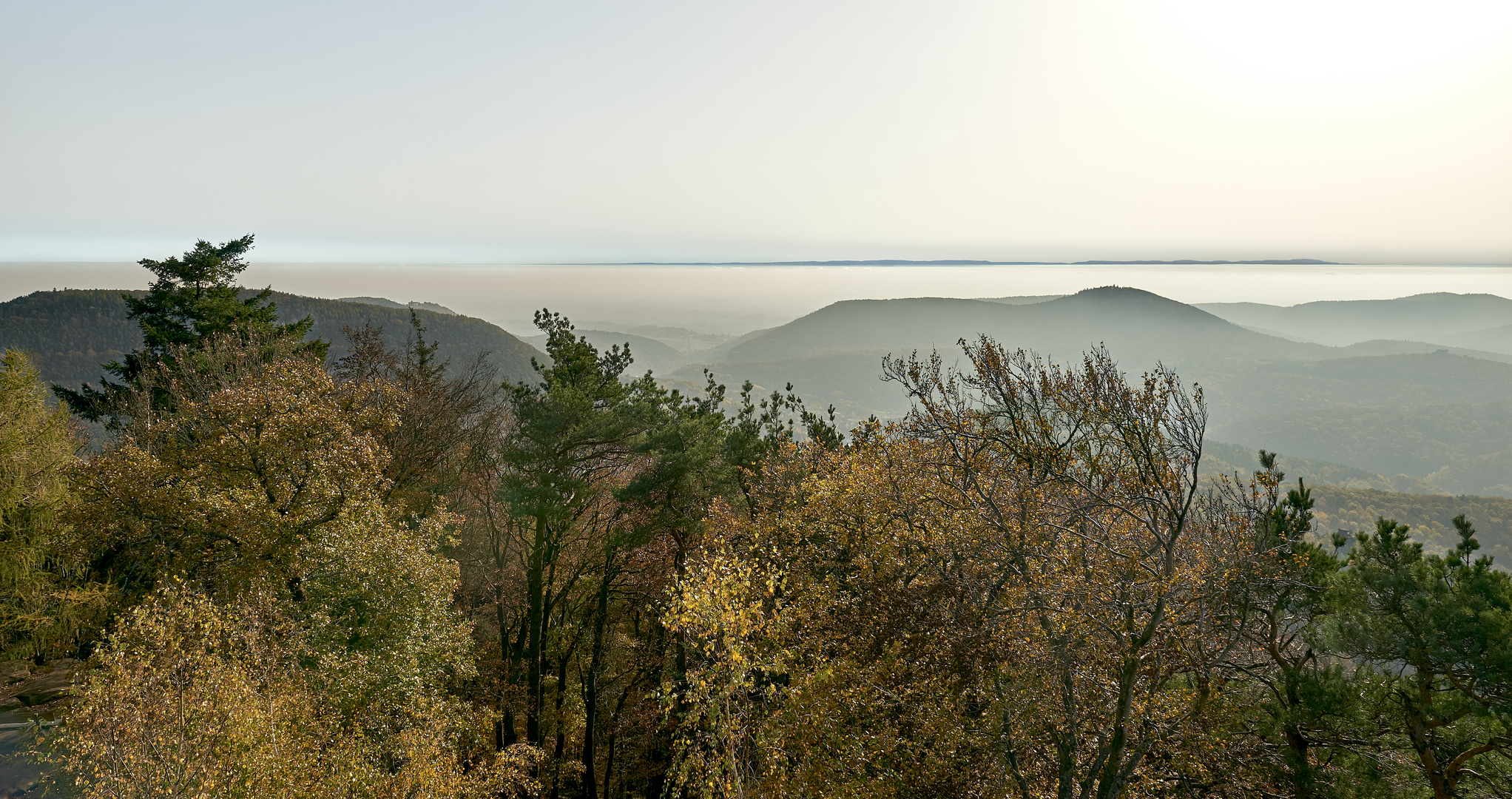 Inversionswetterlage gestern 7.11.2020 in der Pfalz, man konnte trotz leichtem Hochnebel..