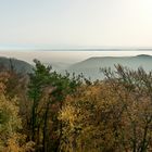 Inversionswetterlage gestern 7.11.2020 in der Pfalz, man konnte trotz leichtem Hochnebel..