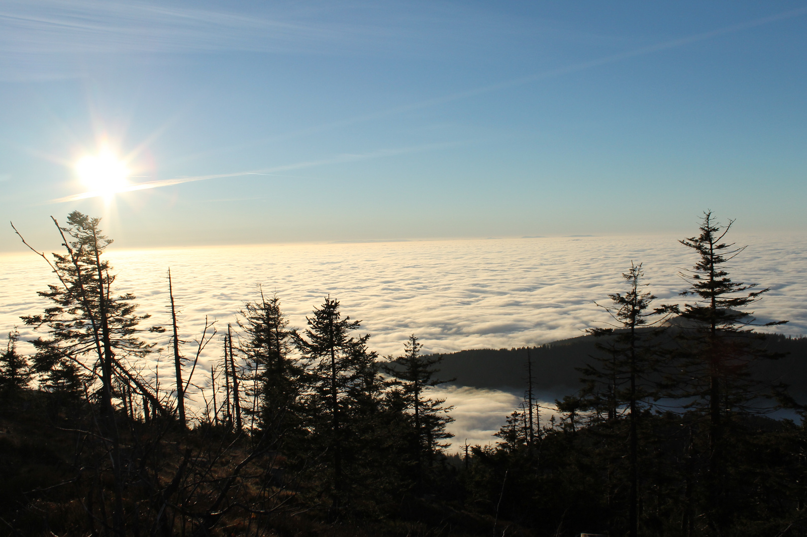 Inversionswetterlage im Schwarzwald