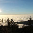 Inversionswetterlage im Schwarzwald